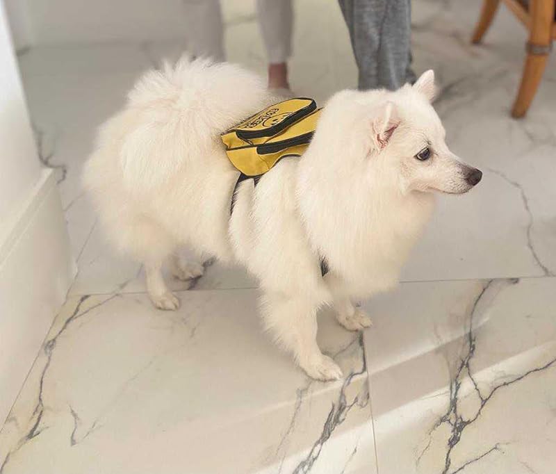 Mochila para Cachorro