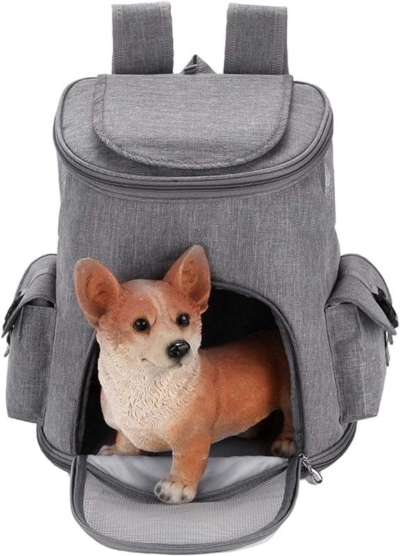 Mochila para estimação | Mochila Respirável Visual Pet Carrier Dog Caminhadas,Portador mochila para cães Mochila para estimação | Mochila Respirável Visual Pet Carrier Dog Caminhadas,Portador mochila para cães